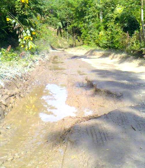 Half road, half pool-a road leading to Zunheboto (Morung Photo)